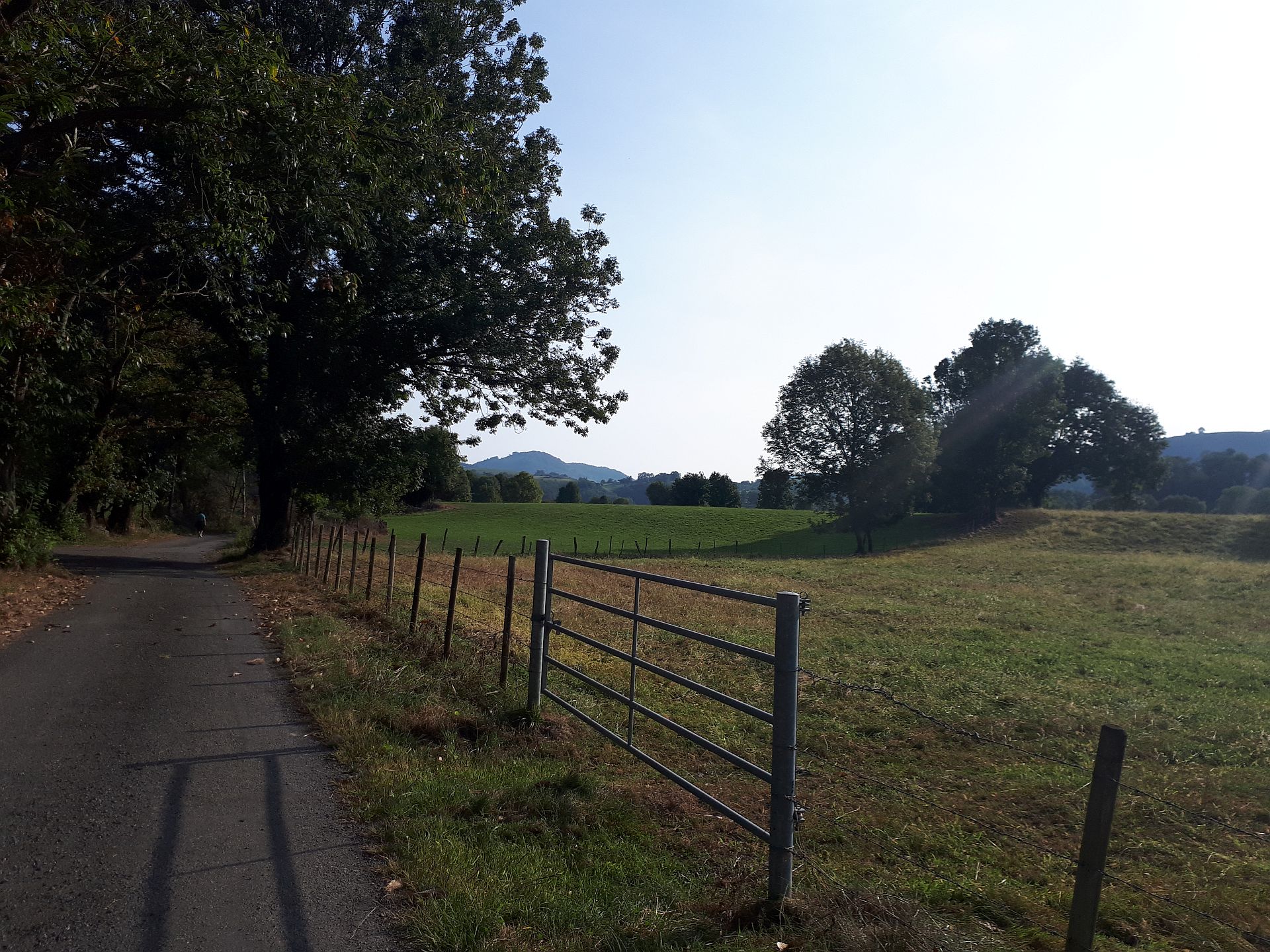VTT N°16 - Le Tremey — photo 2