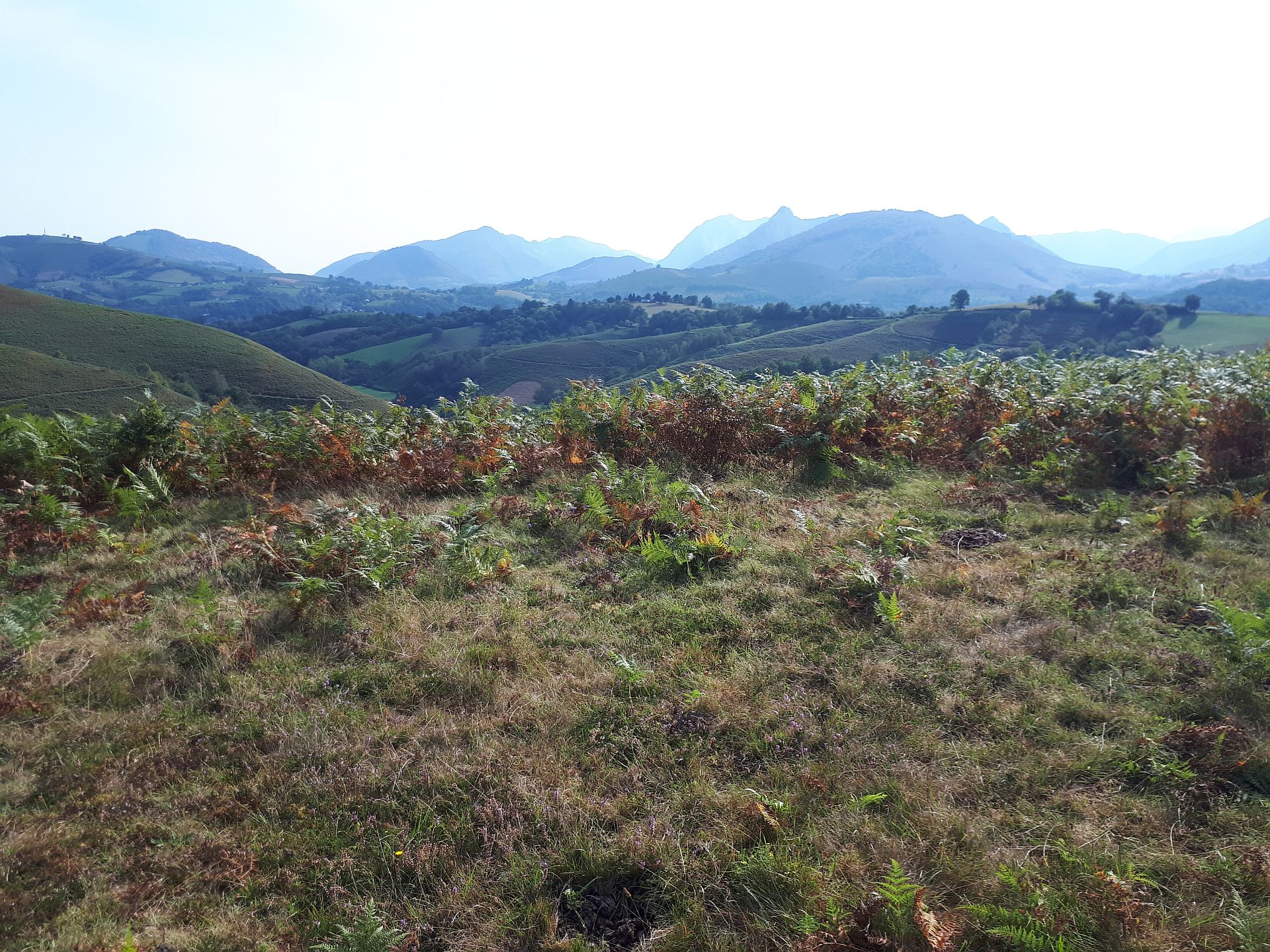 VTT N°16 - Le Tremey — photo 3
