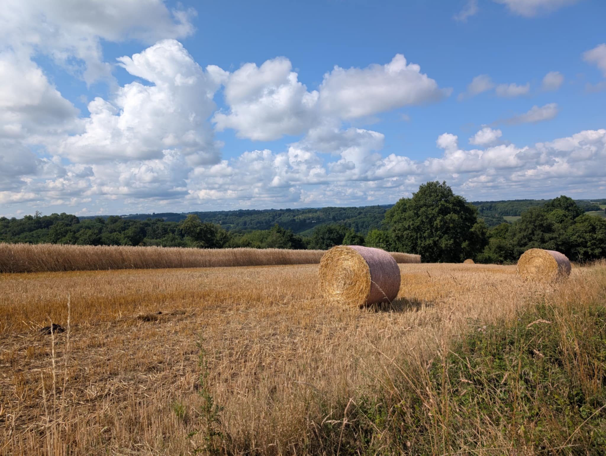 Sentier "Le Theillaumas", Glanges - photo 10
