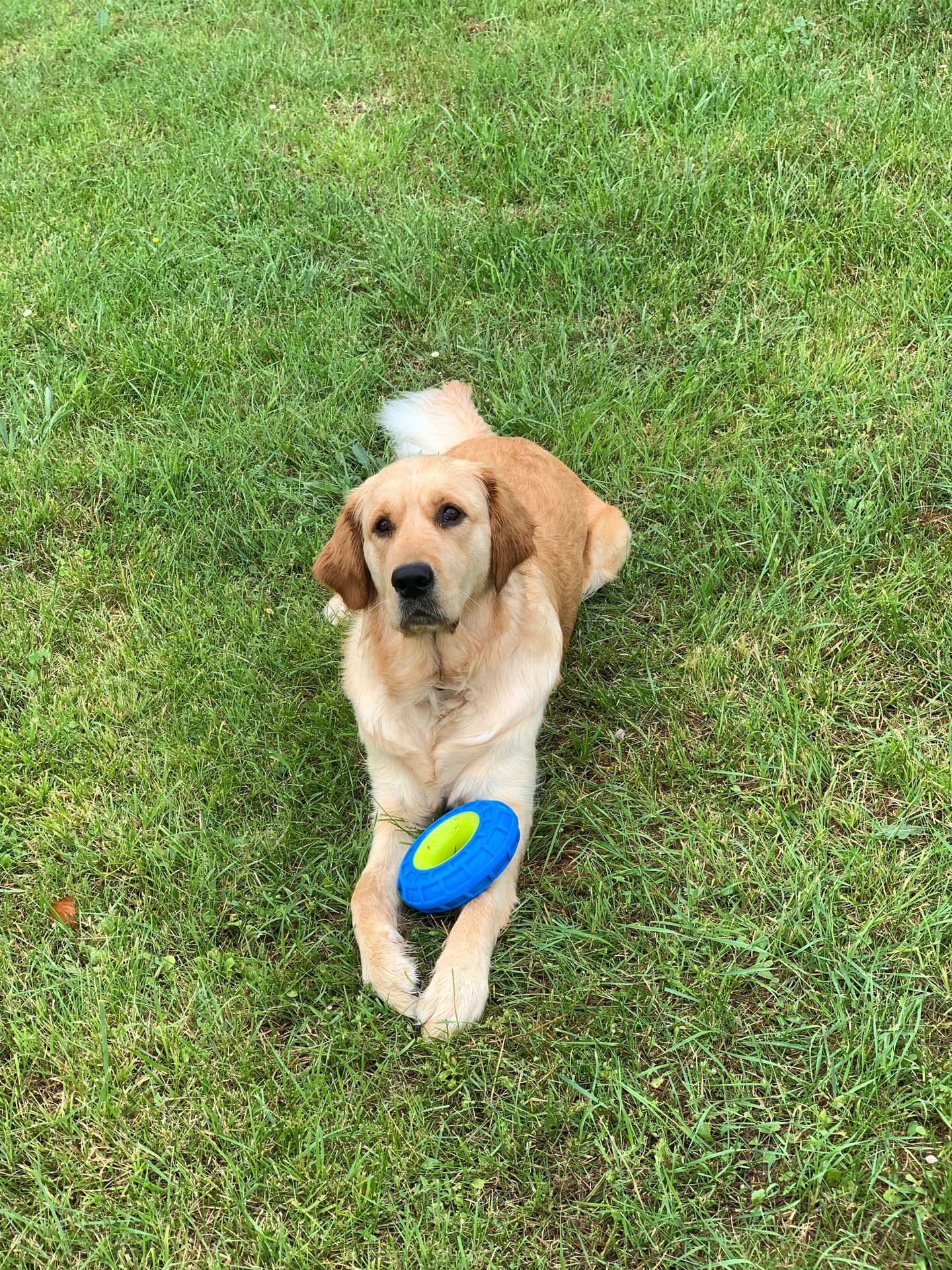 Gîte Le Trel, Castelnaud-de-Gratecambe - photo 4