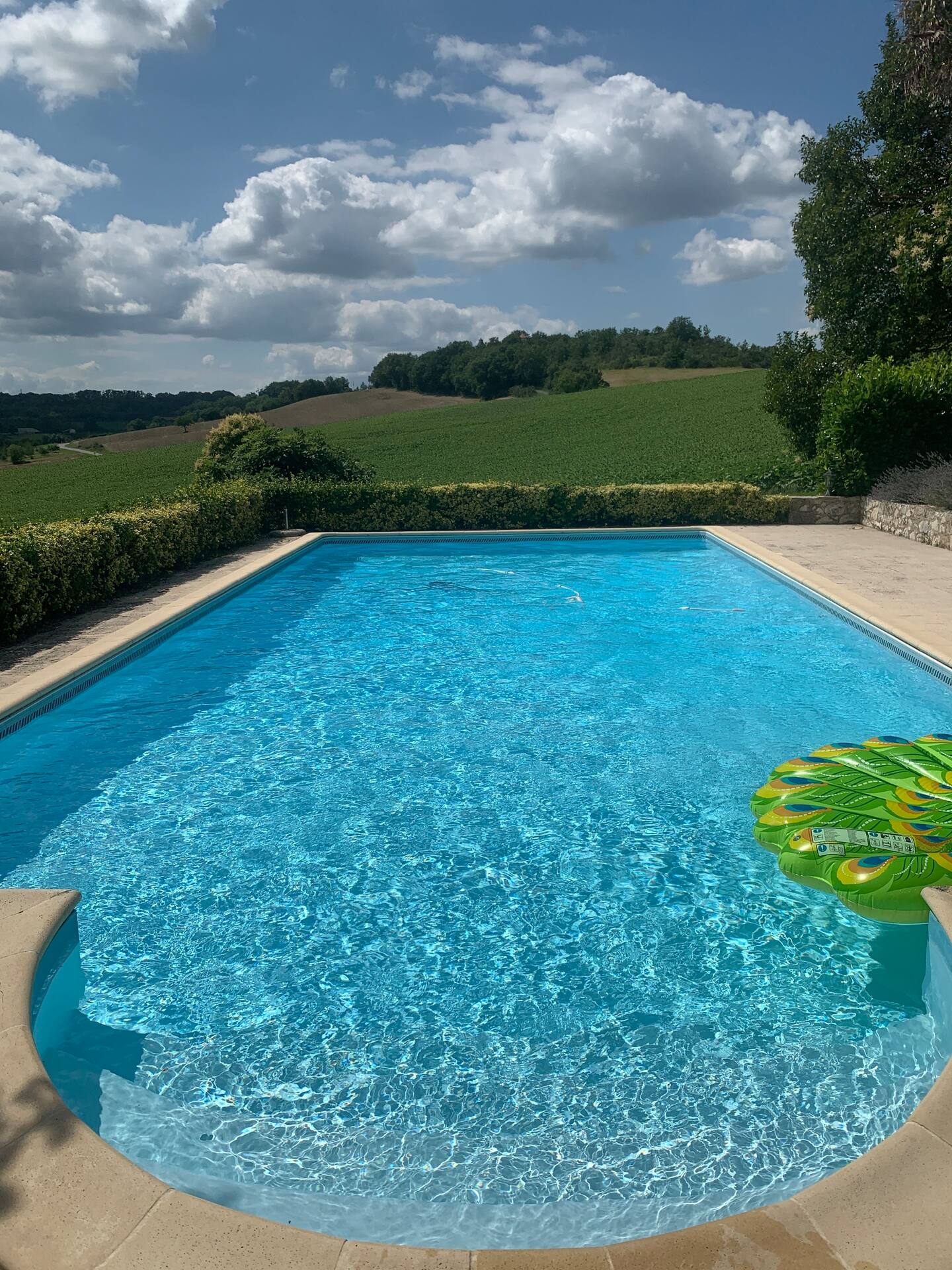 Gîte Le Trel, Castelnaud-de-Gratecambe - photo 8