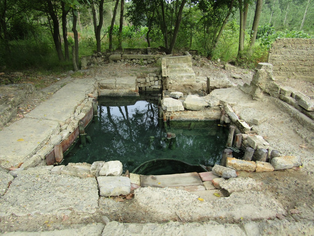 Tèrra Aventura : Valet de coeur, à vous l'honneur !