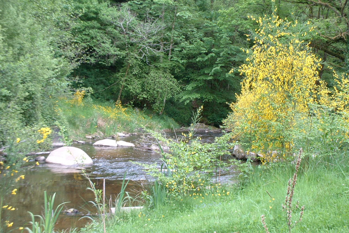 Le Vieux Moulin de la Maque - Gîte A, Saint-Saud-Lacoussière - photo 3