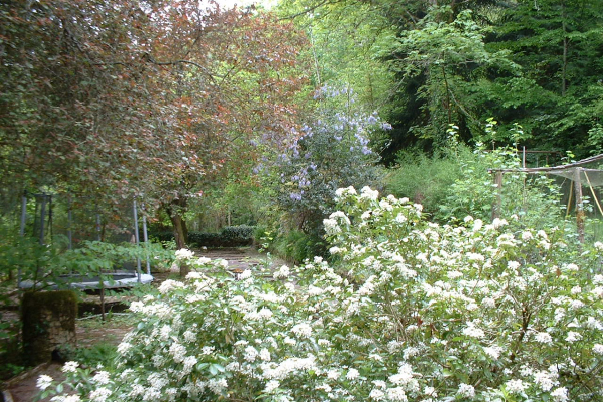 Le Vieux Moulin de la Maque - Gîte A, Saint-Saud-Lacoussière - photo 2