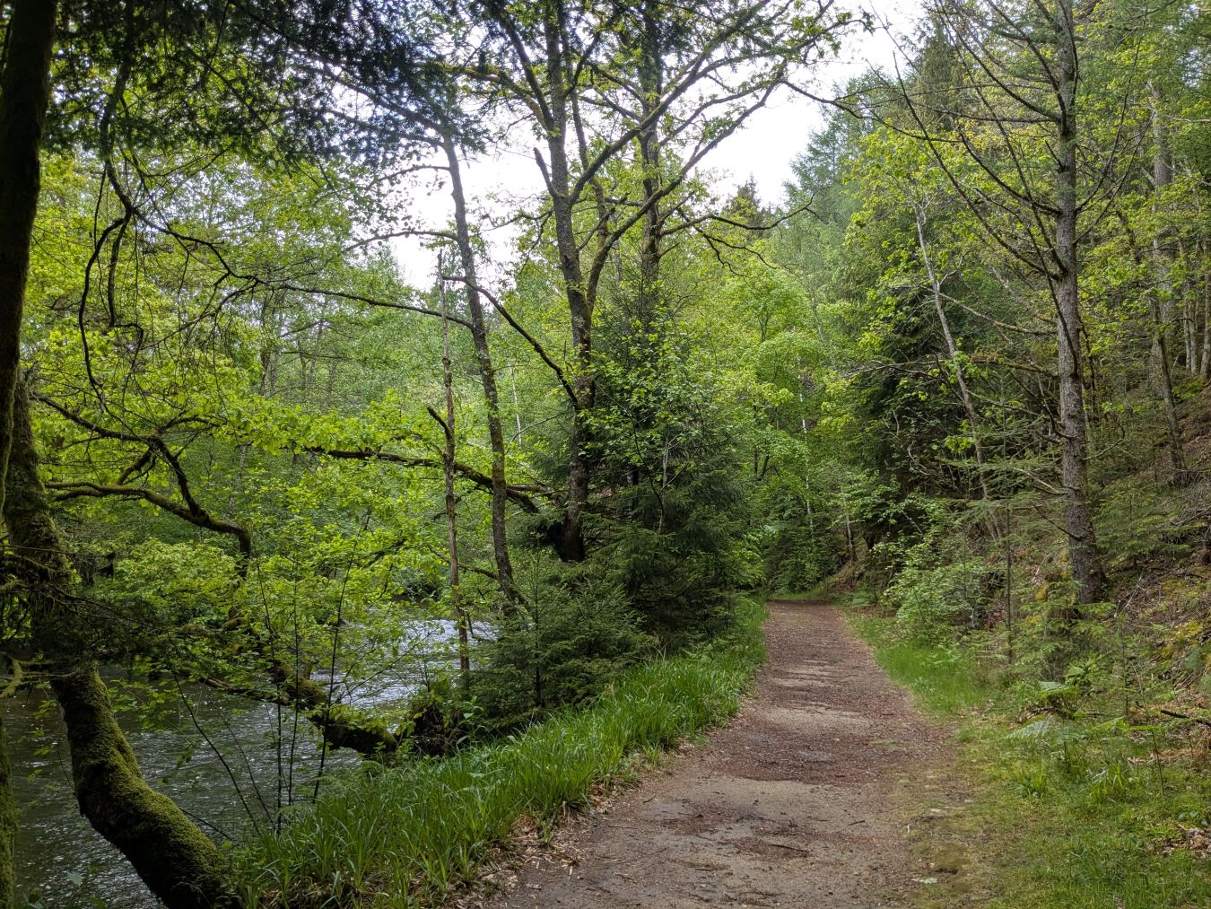 Trail de la Vézère, Bugeat - photo 10