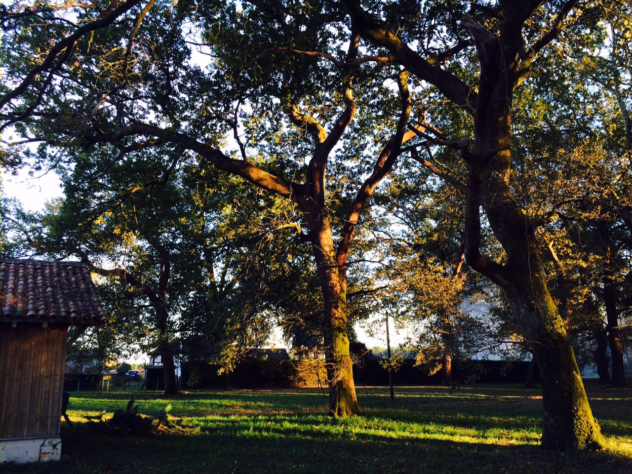 Caupenne, Laluque - photo 2