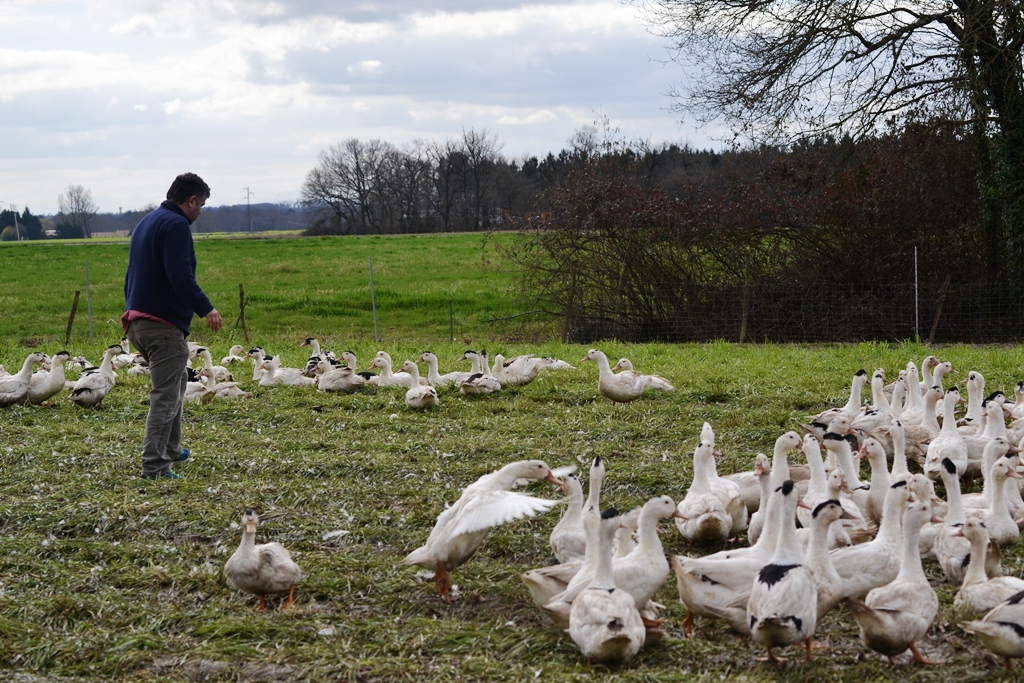Le Canard chez Degert
