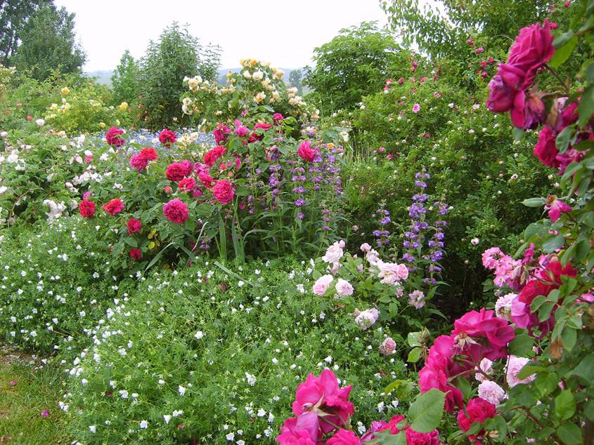 Le jardin de Mireille, Auriac-sur-Dropt - photo 13