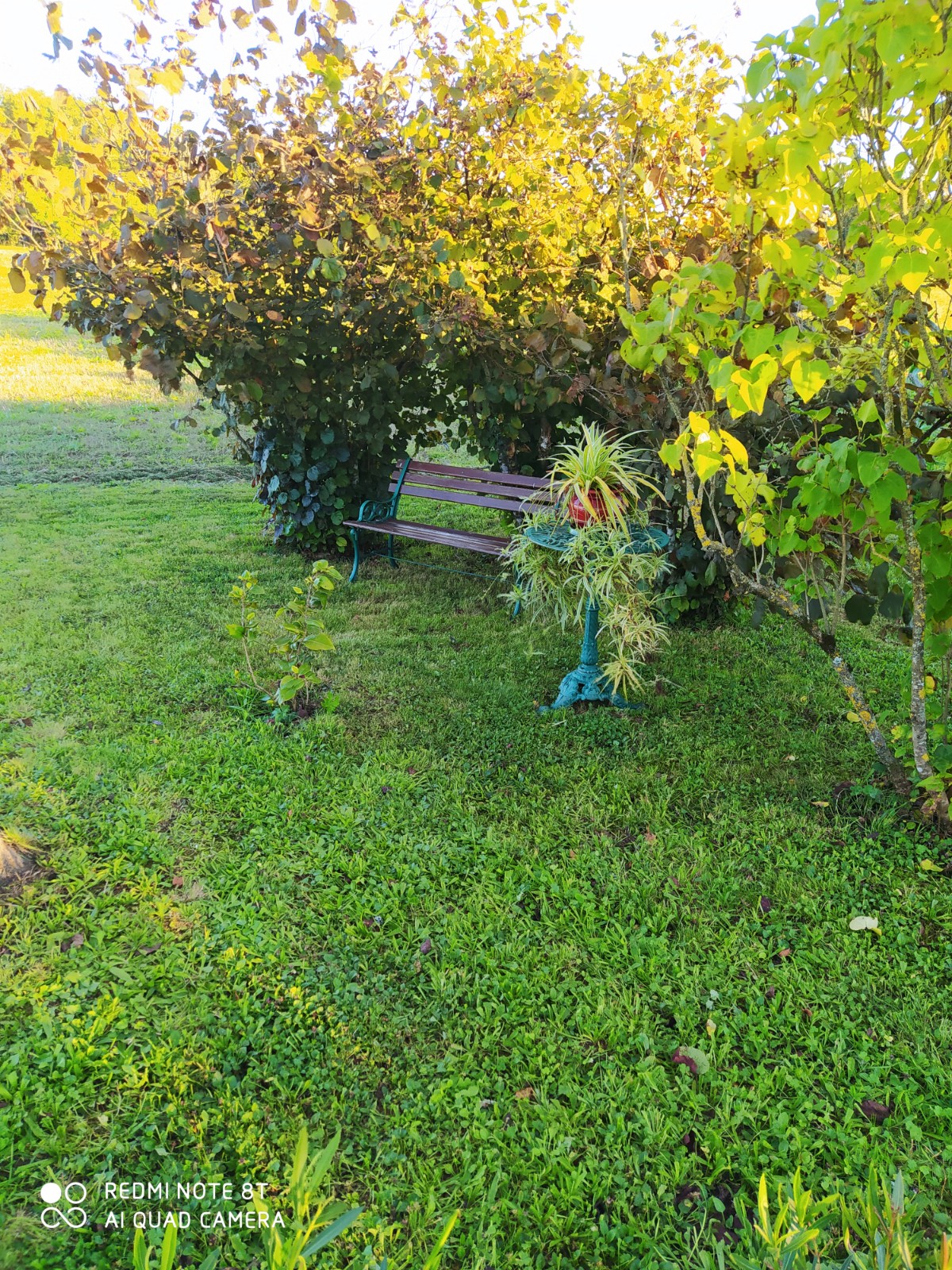 La pause nature en Périgord - photo 5