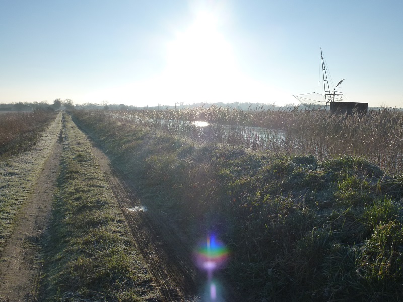 Le long du canal St Georges