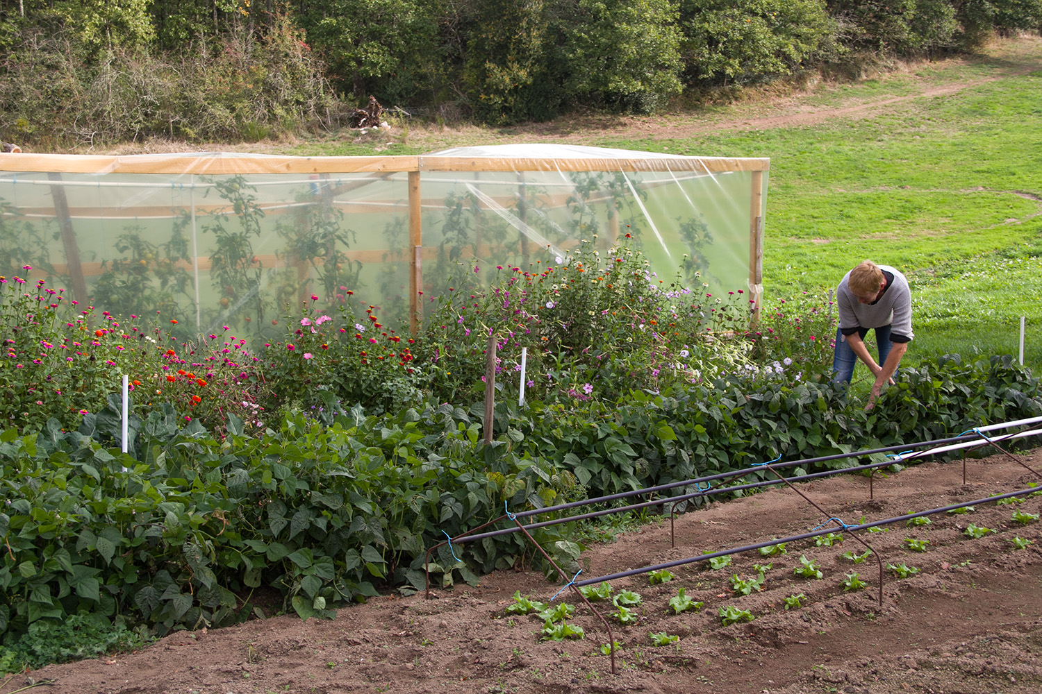 Le Moulin à Légumes — photo 2