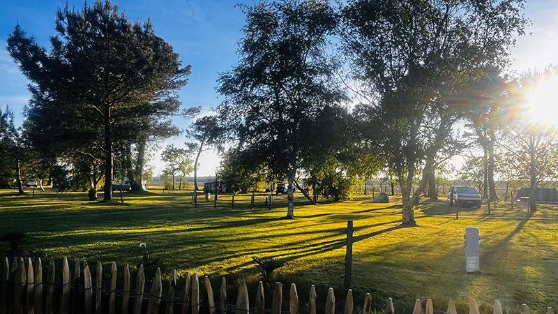 Aire naturelle de camping Les Grands Chênes et Les Ajoncs, Naujac-sur-Mer - photo 12