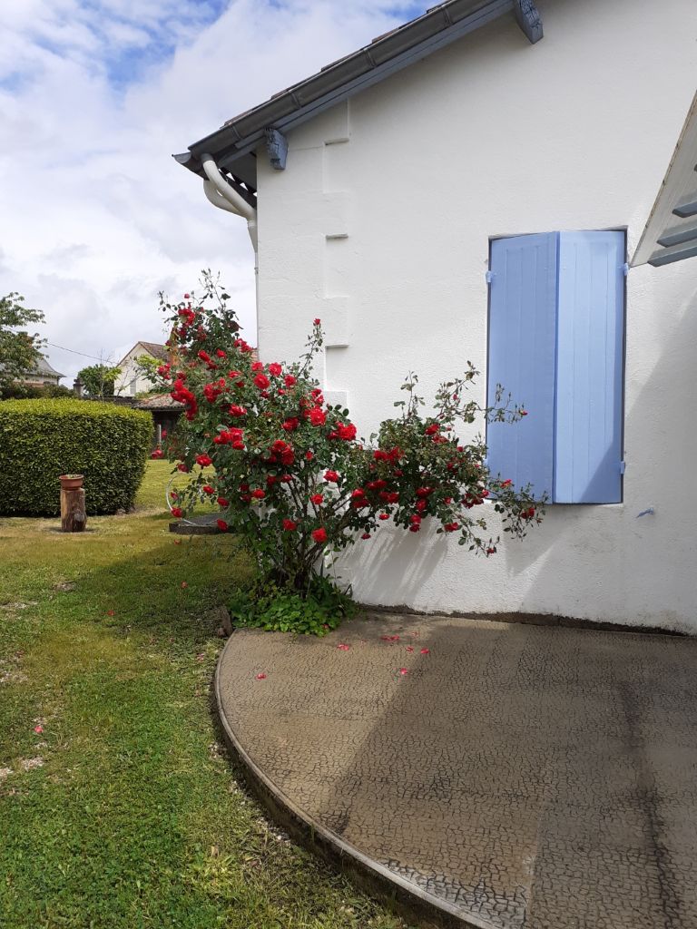 Gîte Louisette ROCHE, Montpon-Ménestérol - photo 23