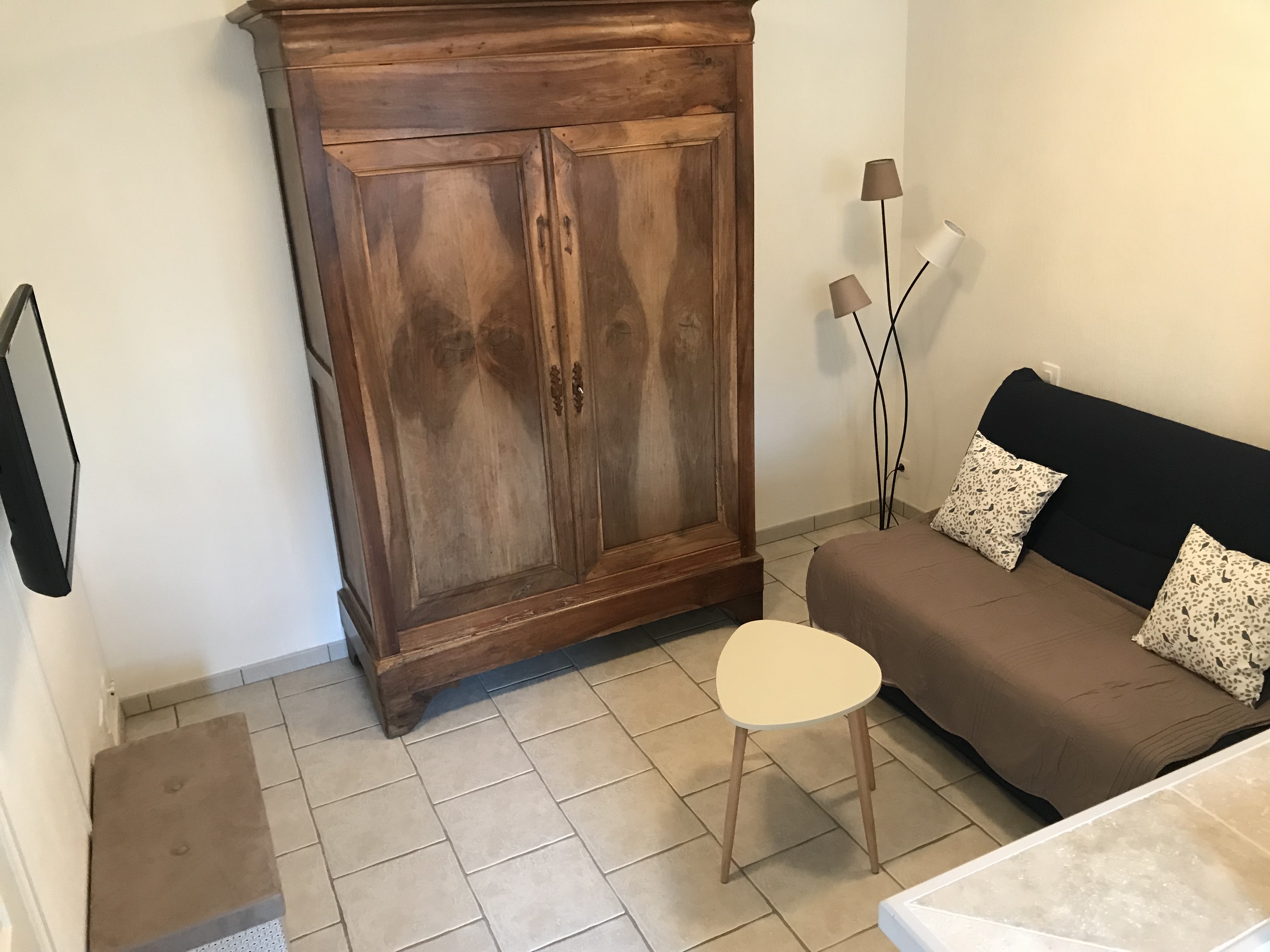 L'ange du marais, Coulon - photo 5