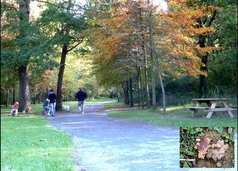 Balade à Roulettes n°30 Le Sentier des Chênes à Mourenx