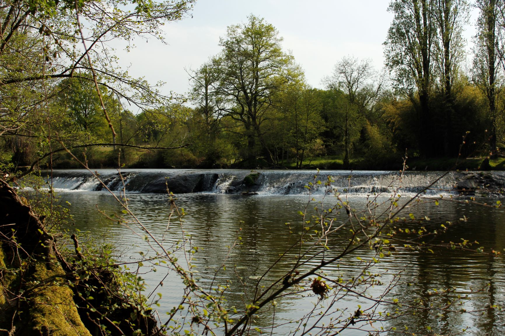 Maison ancienne au coeur de la Gâtine poitevine, Gourgé - photo 20