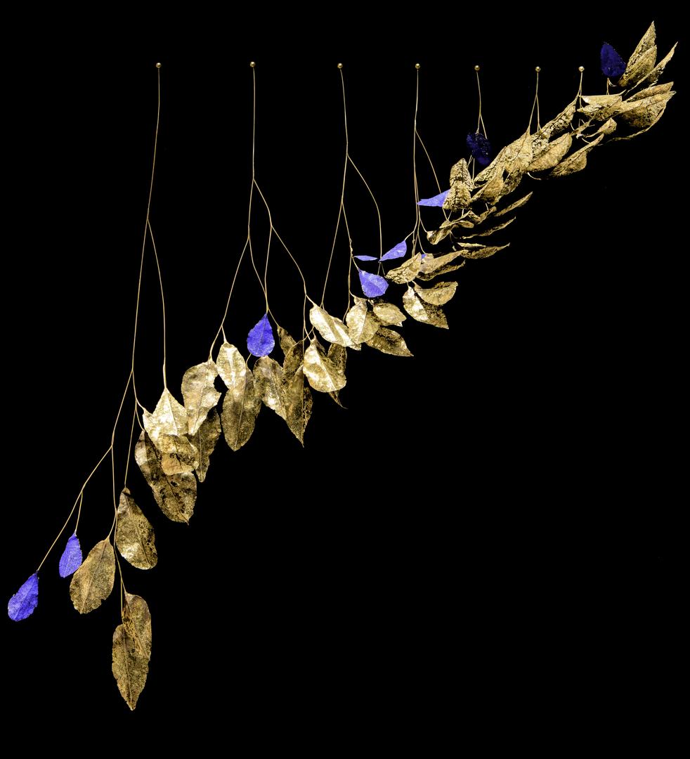 1 peu 2 lumière - 1P2L - photo 3