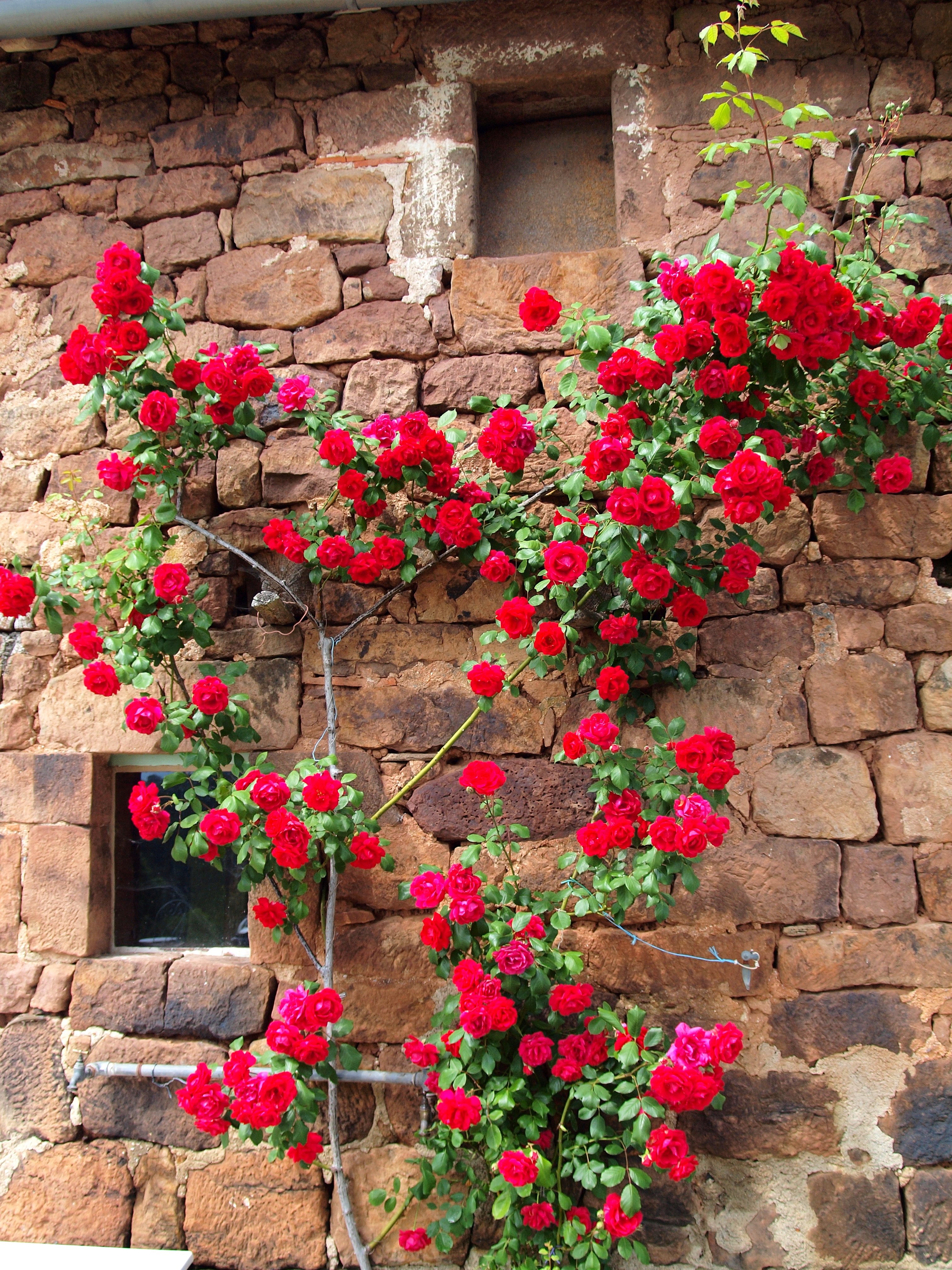 Le Rouchil - Charme et Sérénité, Tudeils - photo 12