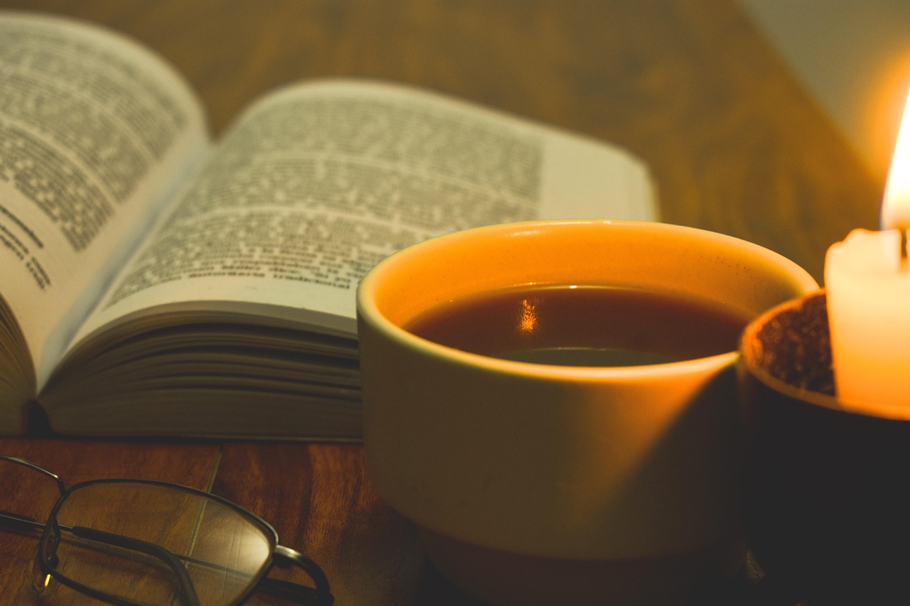 Nuit de la lecture "Villes & campagnes", Laruscade - photo 2