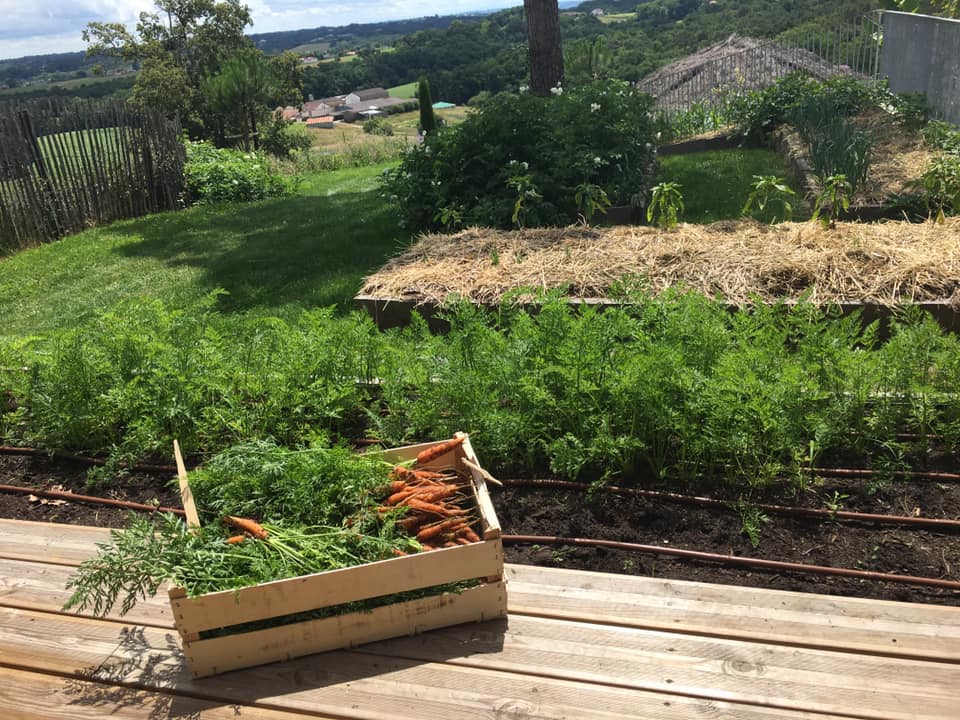 Le Musée du fruit, Cagnotte - photo 4