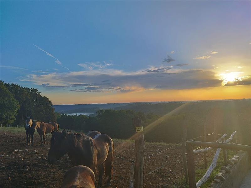 La Folie des Grandeurs à cheval