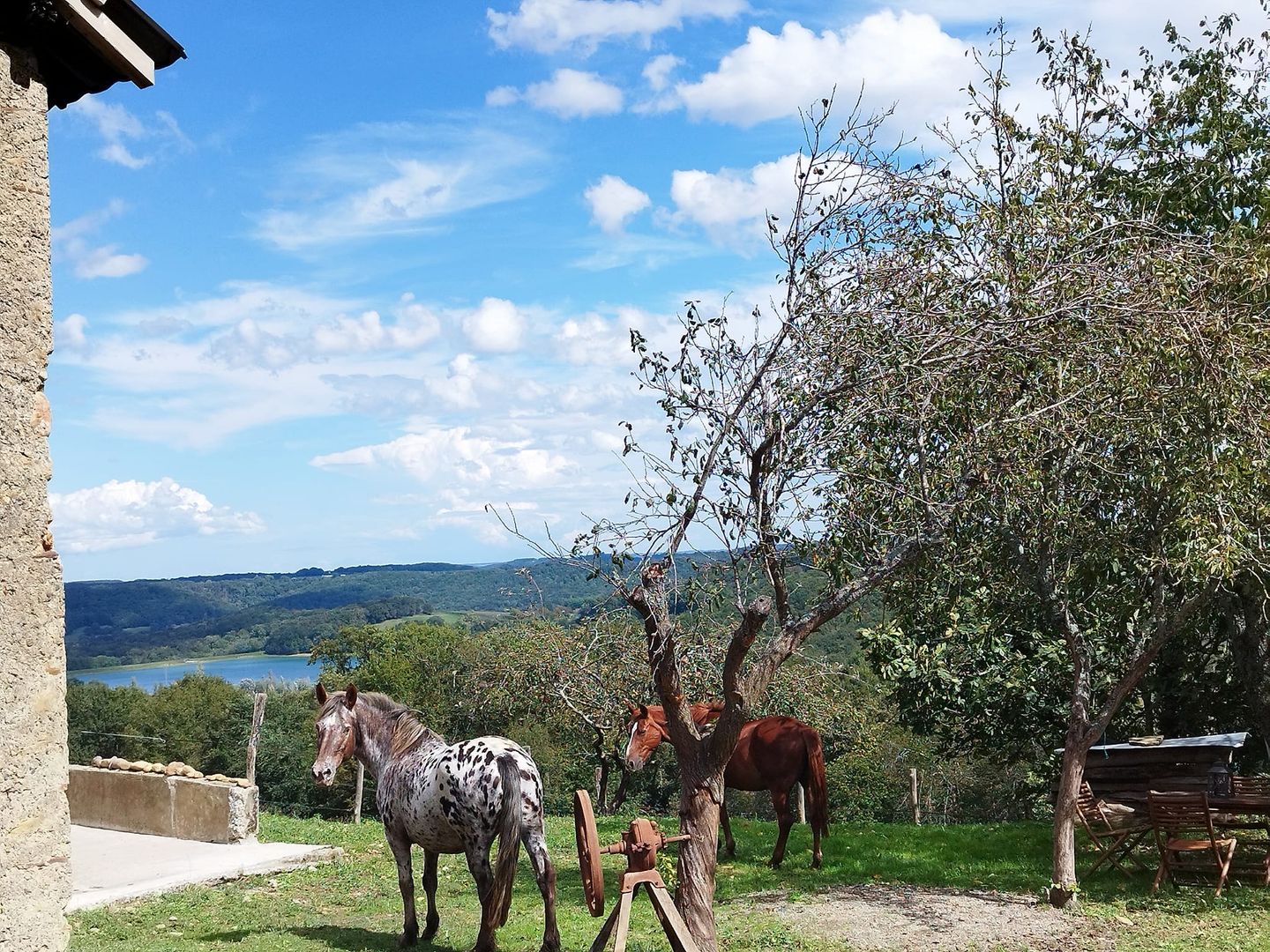 La Folie des Grandeurs à cheval