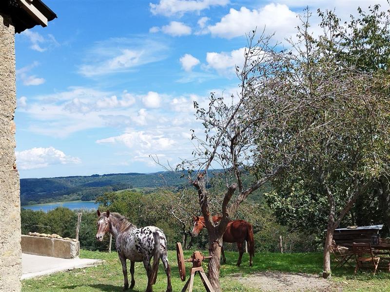 La Folie des Grandeurs à cheval