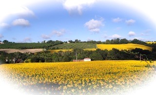 Chambres d'hôtes Lencouet, Feugarolles - photo 4