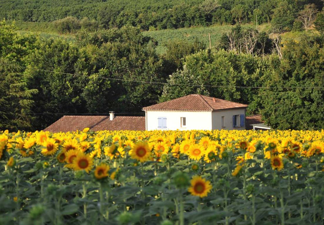 Gîte Le Galeau, Feugarolles - photo 6