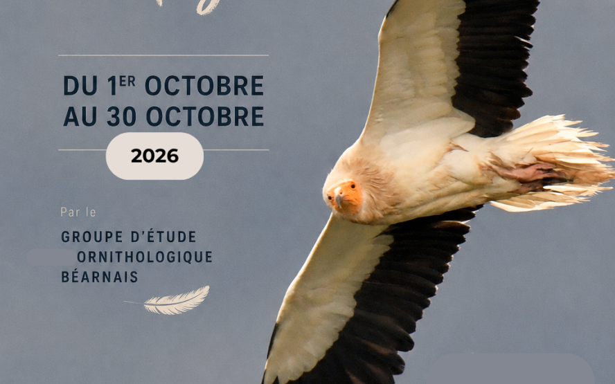 Image de présentation du lieu