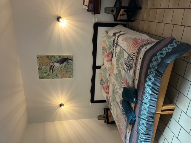 Les Albizias I n°7 - photo 4