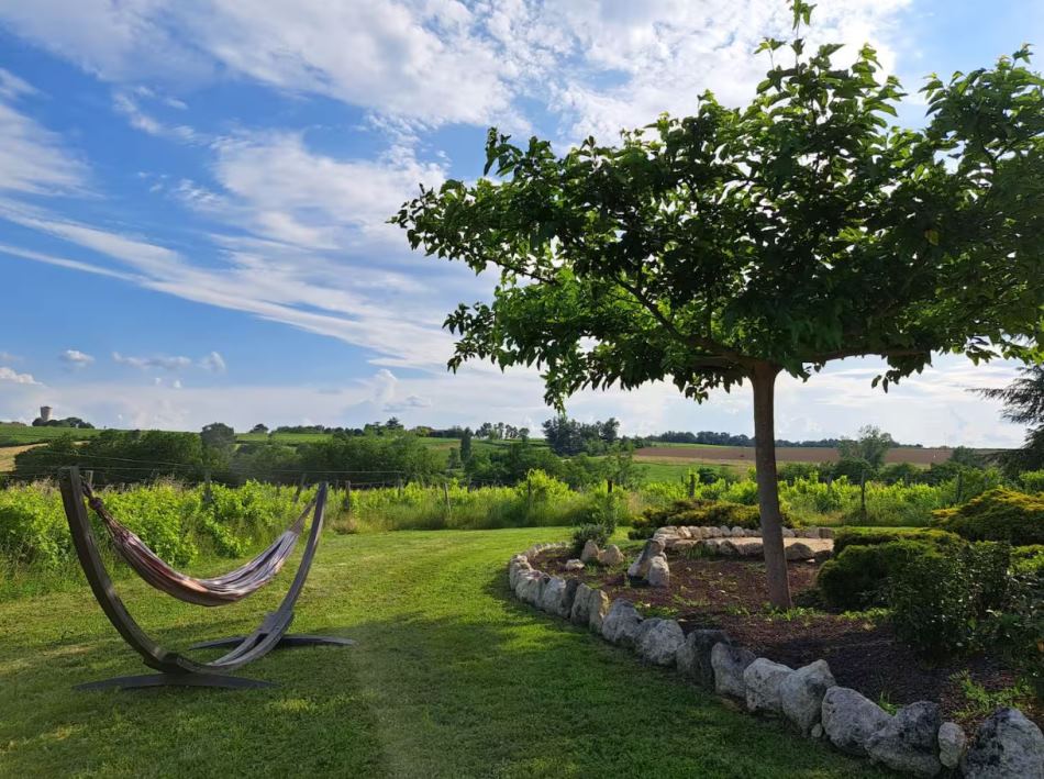 Les Bardots, Savignac-de-Duras - photo 13