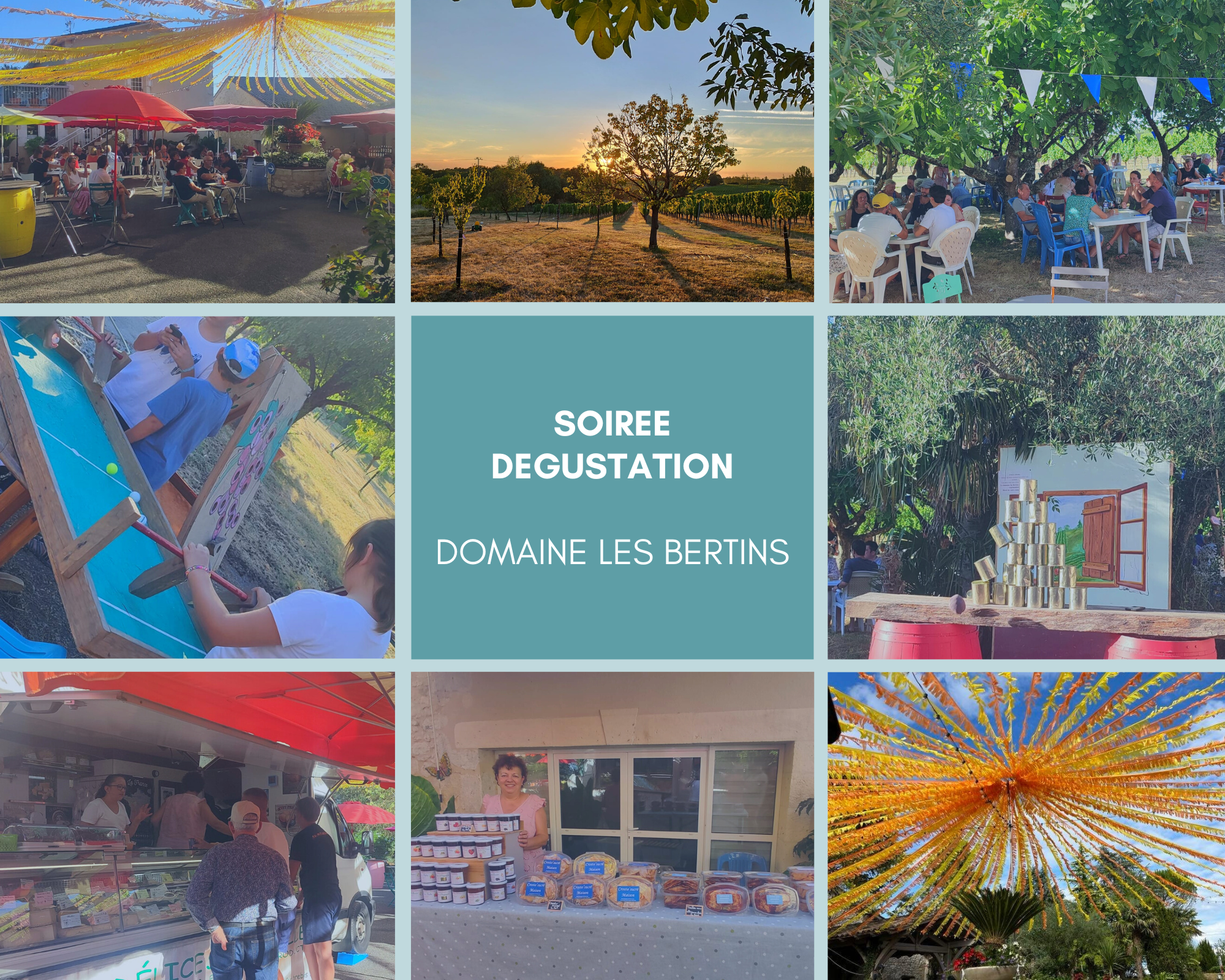 Domaine Les Bertins - photo 5