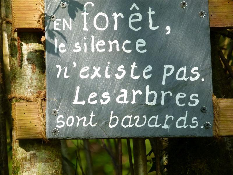Les buis  