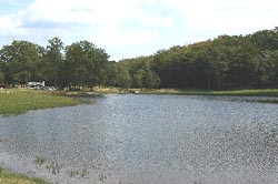 Camping municipal des Chanaux