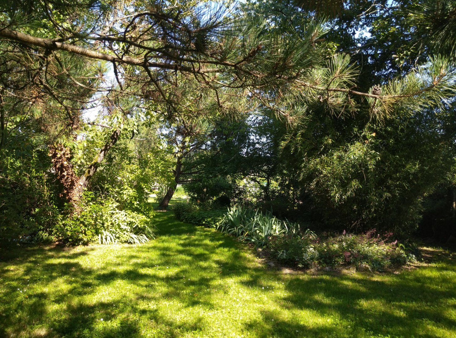 Les Chênes Jumeaux - photo 3