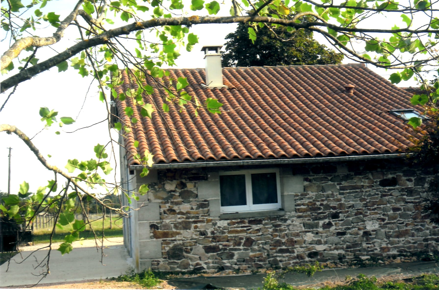 Les Clèdes