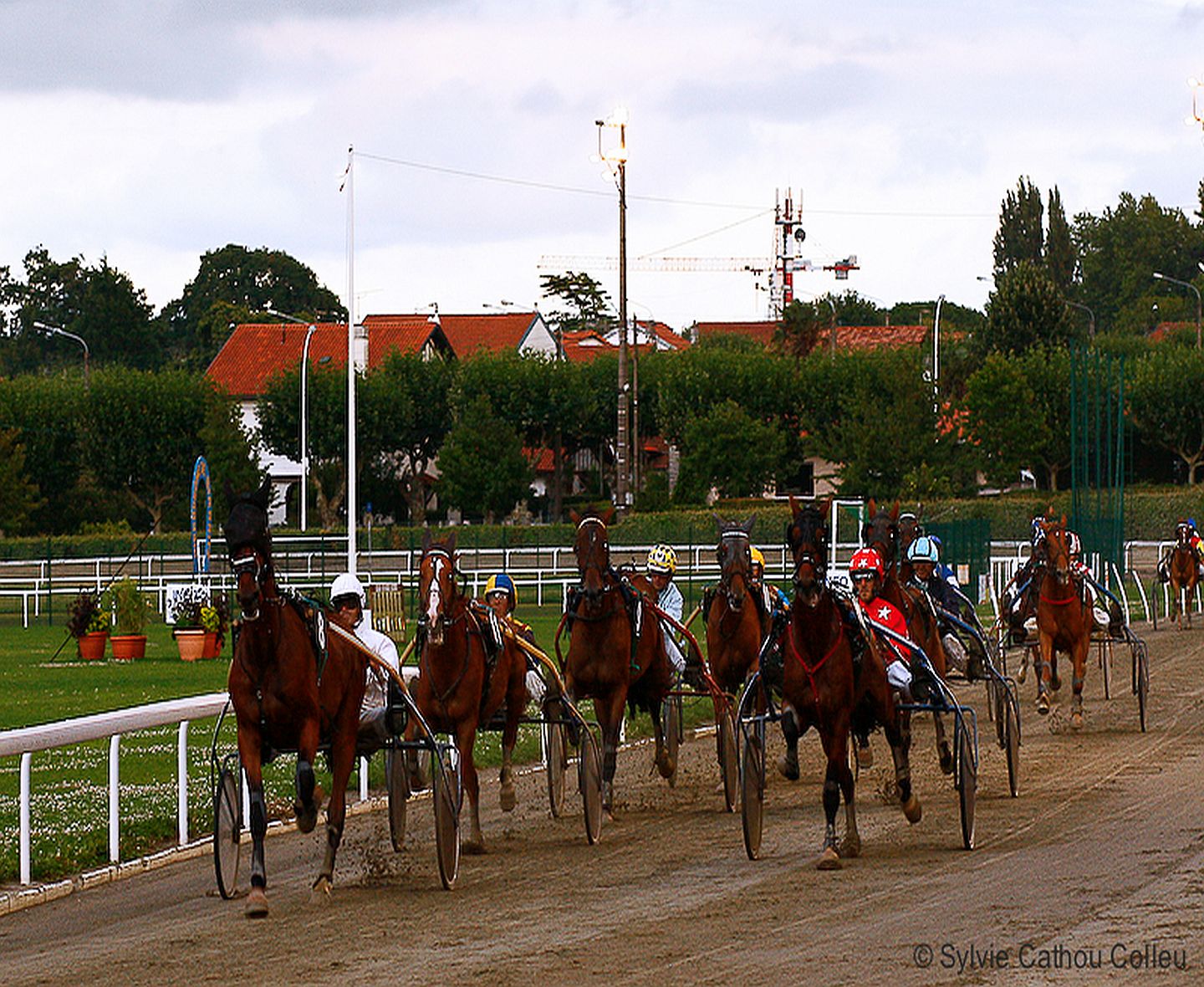 Société des Courses au Trot