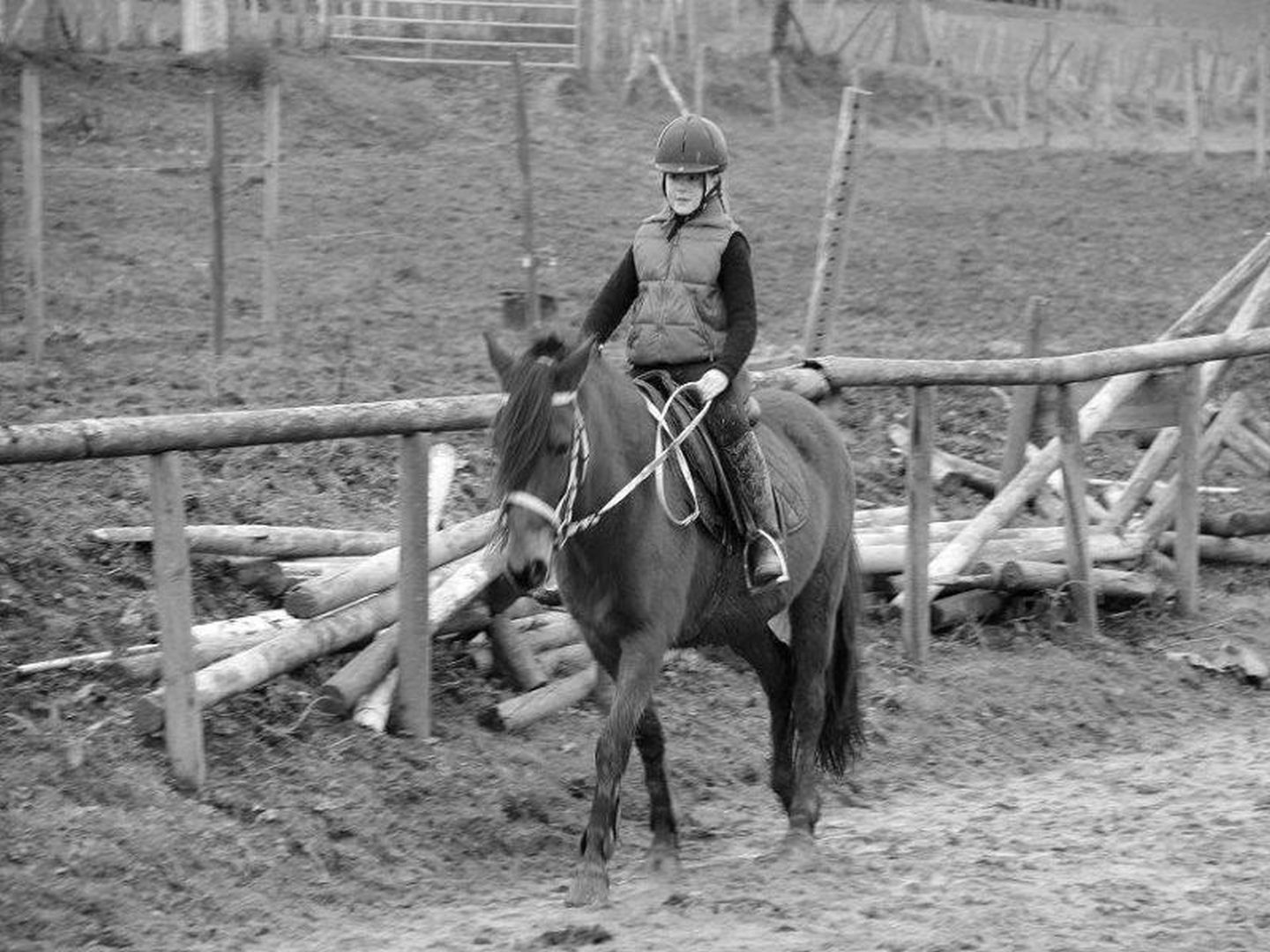 Club Hippique Les Écuries d'Urane - photo 3