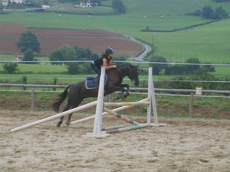 Club Hippique Les Écuries d'Urane