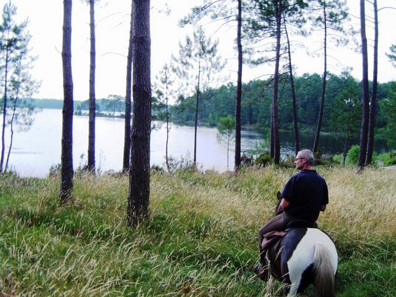 Les Ecuries du Lac d'Hostens — photo 3