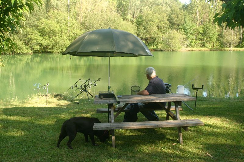 Aux Etangs du Bos - photo 3