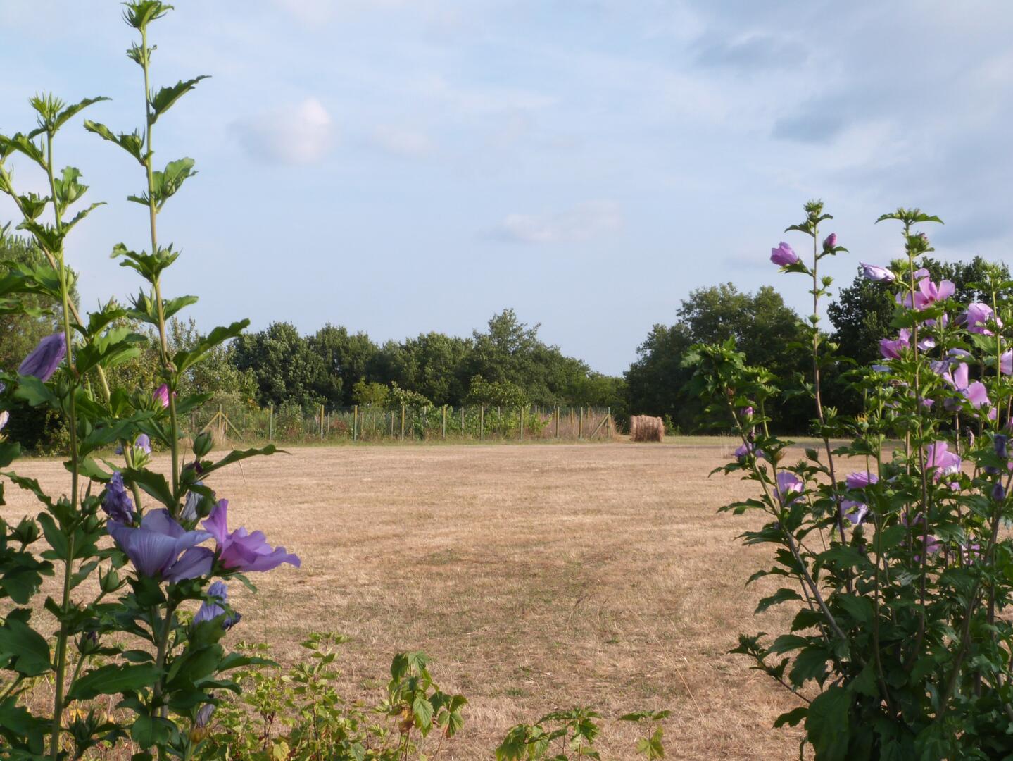 Boucle des Balcons du Nord n°21/Les Farges, Les Farges