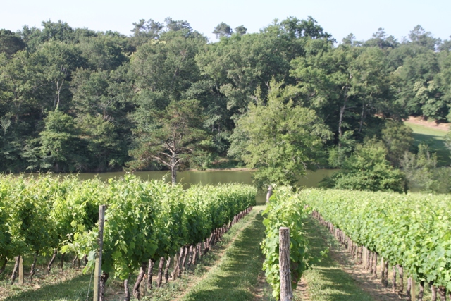 Les Fermettes du Lac n° 4 à 9, Bahus-Soubiran - photo 22