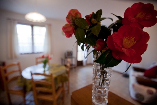 Les Fermettes du Lac n° 4 à 9, Bahus-Soubiran - photo 20