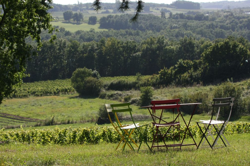 Château Les Hauts de Caillevel - photo 4