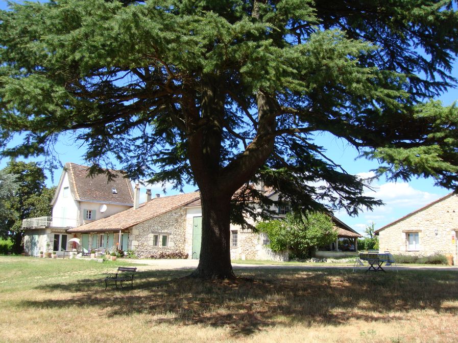 Château Les Hauts de Caillevel - photo 3