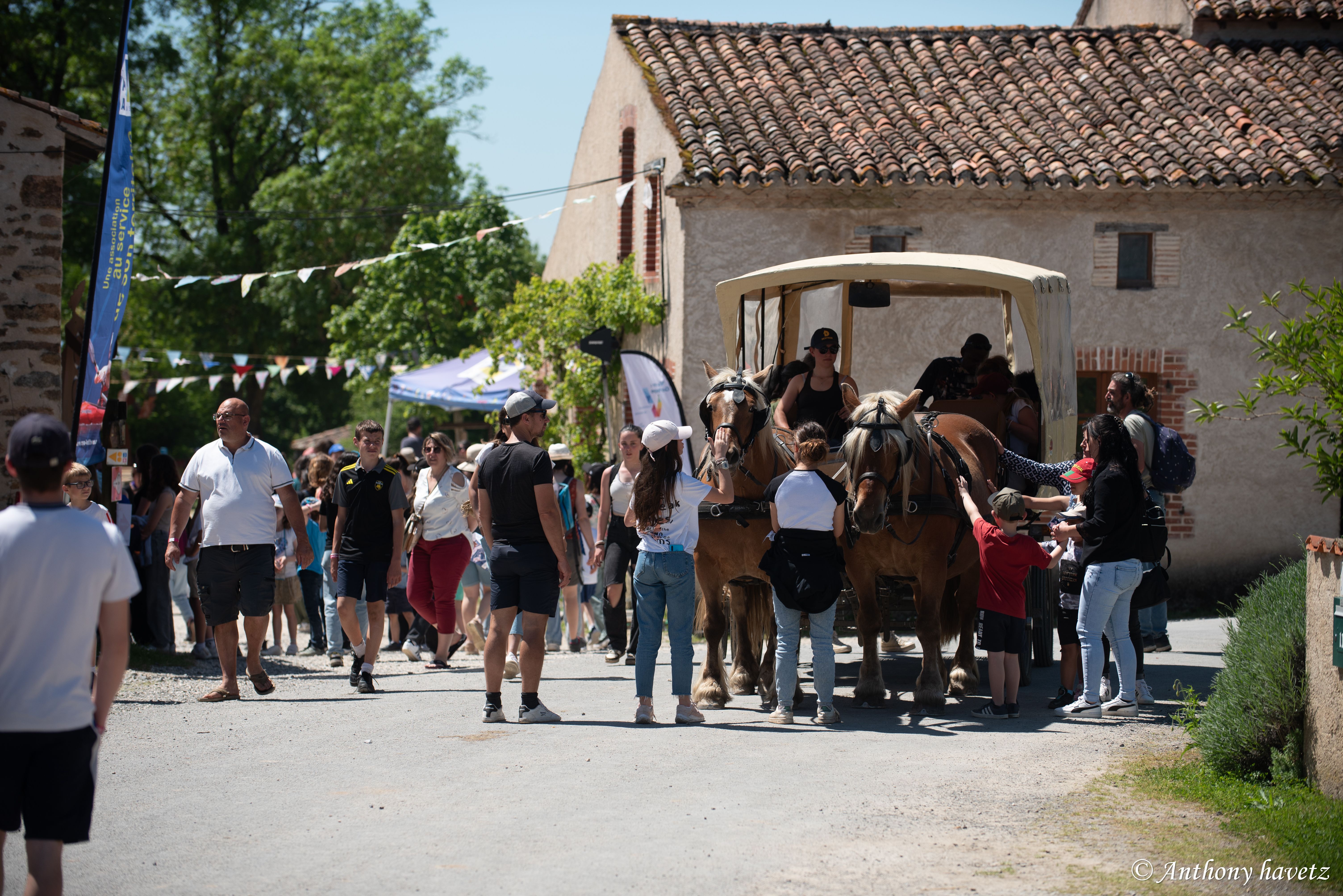 Festival les imPrO'bables, Lathus-Saint-Rémy - photo 3