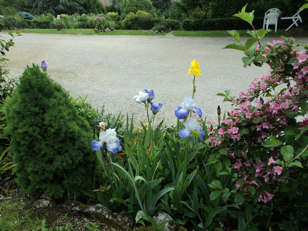 Chambre d'hôtes Les Iris, Sarlat-la-Canéda - photo 5