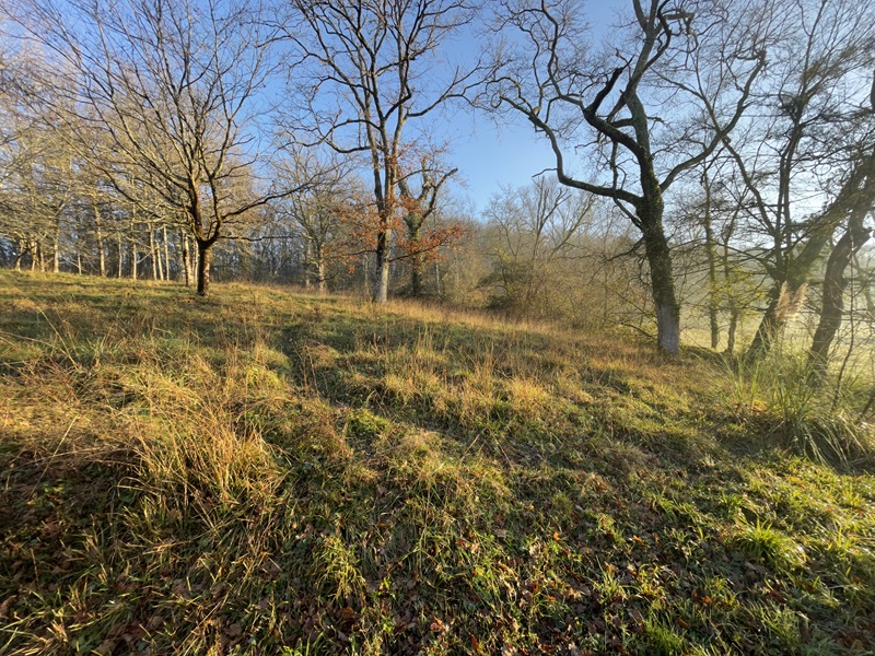 Les Mésanges n°3 à 5, Eugénie-les-Bains - photo 9